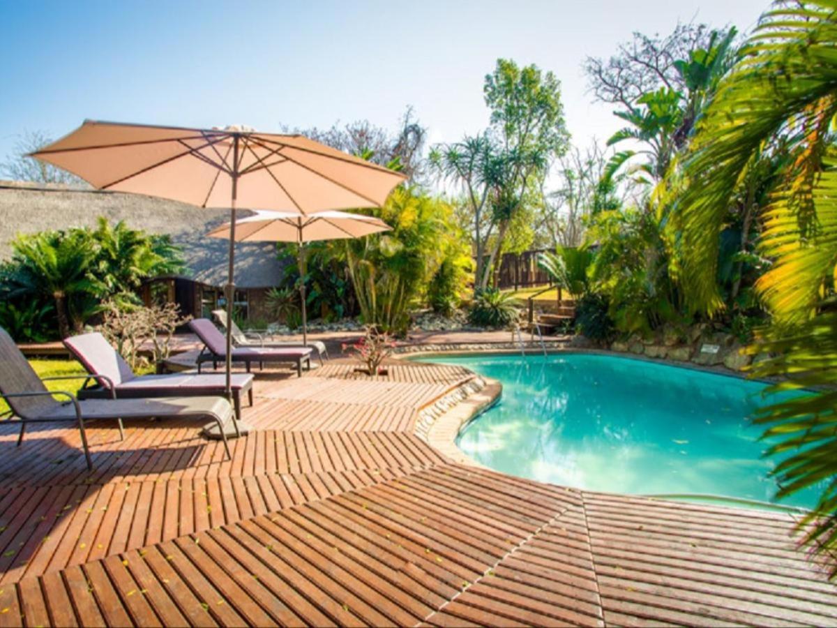 דורבן Mkuze Falls Private Game Reserve מראה חיצוני תמונה