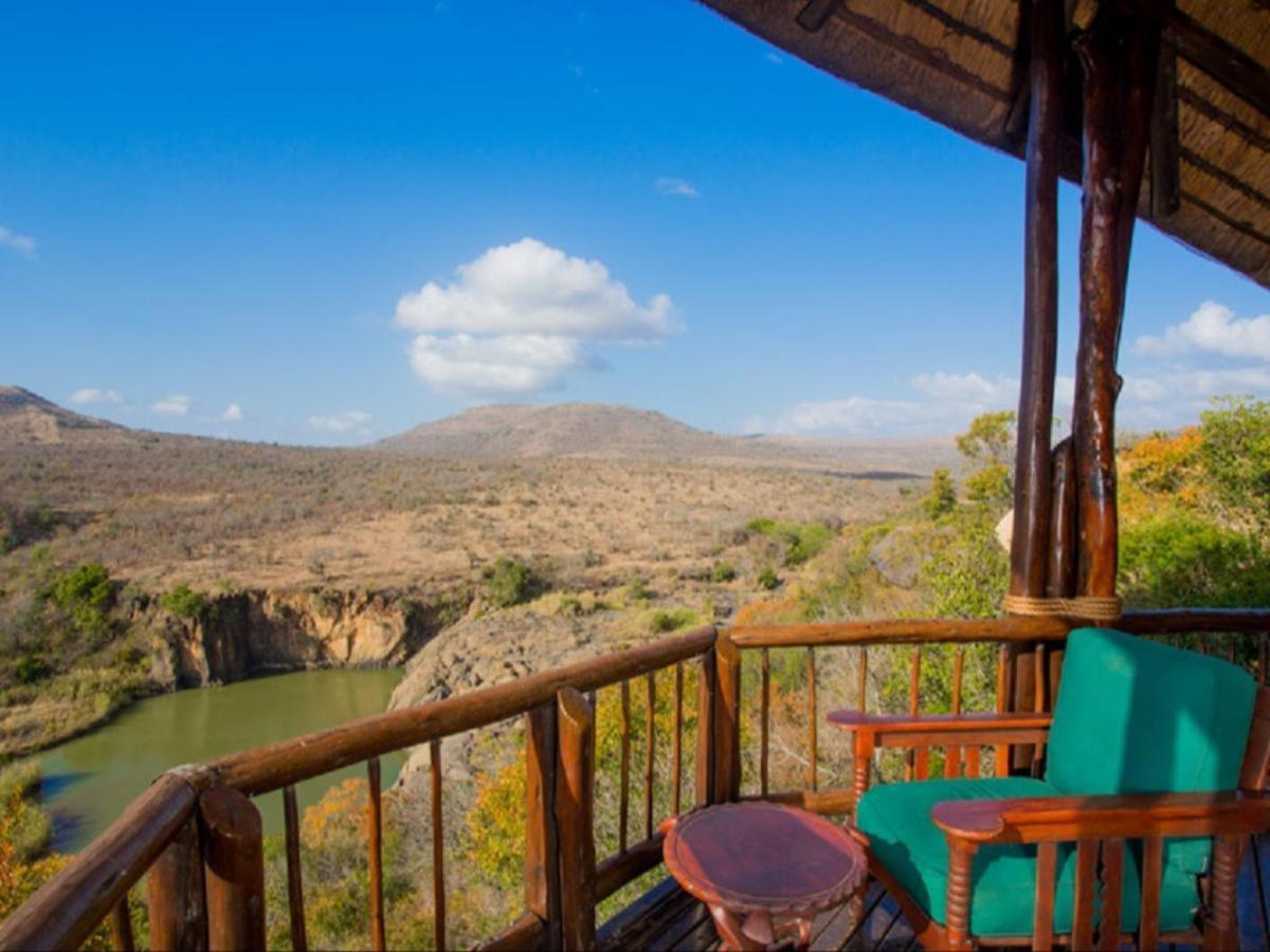 דורבן Mkuze Falls Private Game Reserve מראה חיצוני תמונה