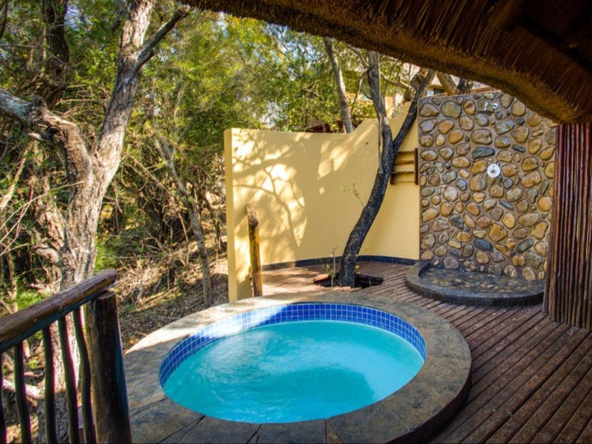 דורבן Mkuze Falls Private Game Reserve מראה חיצוני תמונה